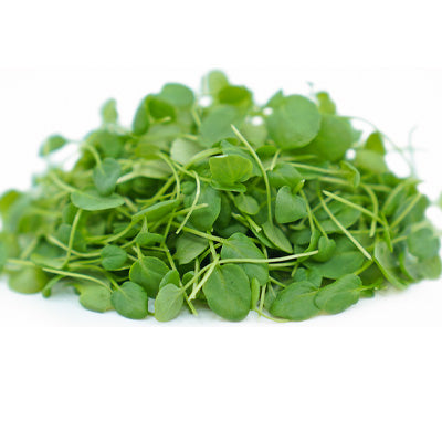 Cress Microgreens — fresh microgreens