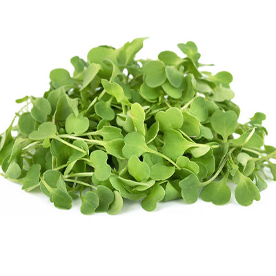 Arugula Microgreens — fresh microgreens