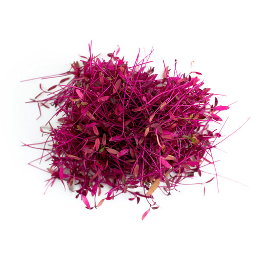 Amaranth Microgreens — fresh microgreens