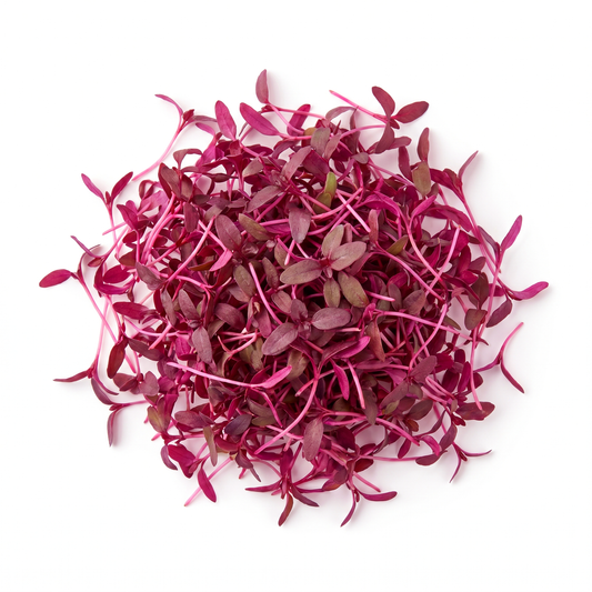 Amaranth Microgreens