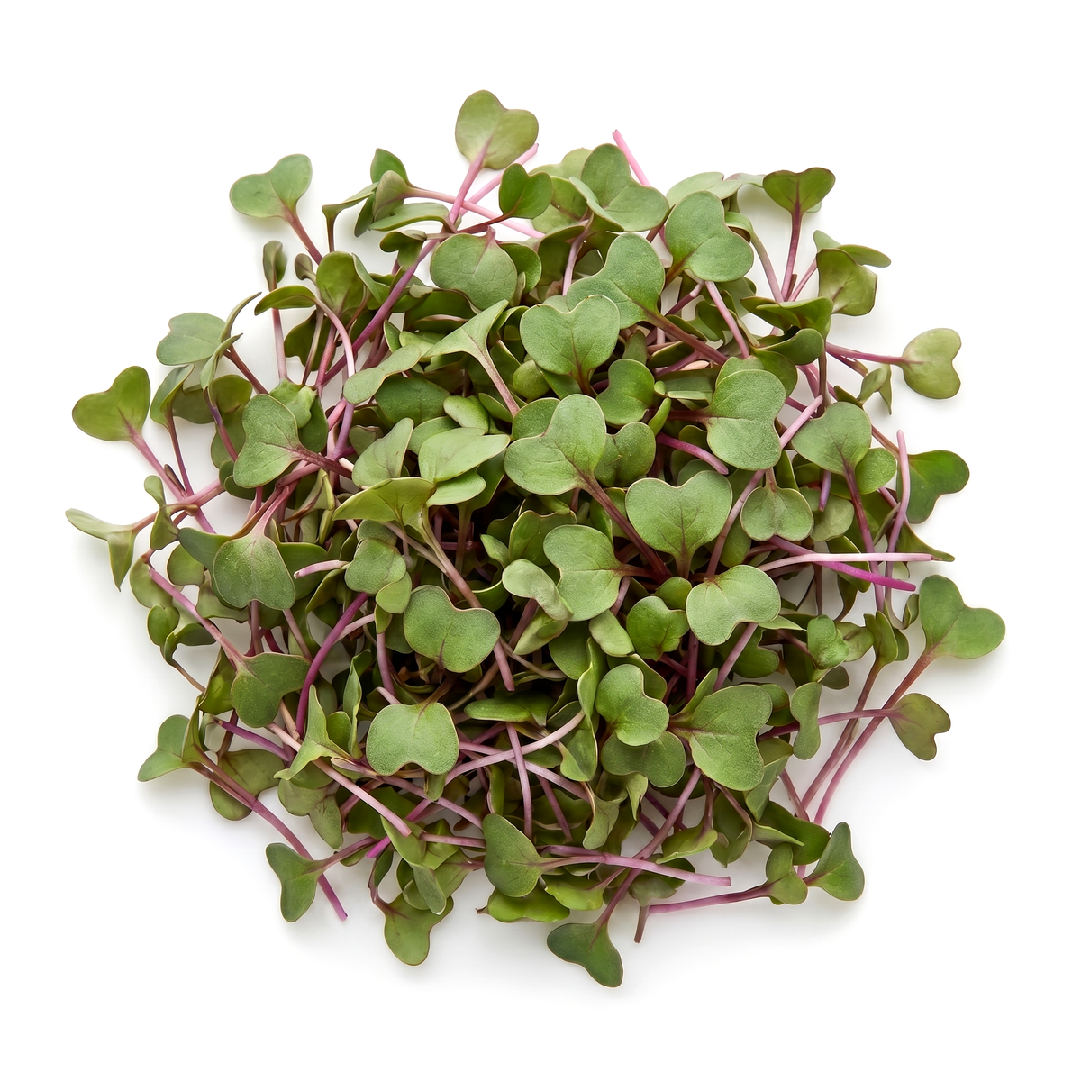 Buckwheat Microgreens