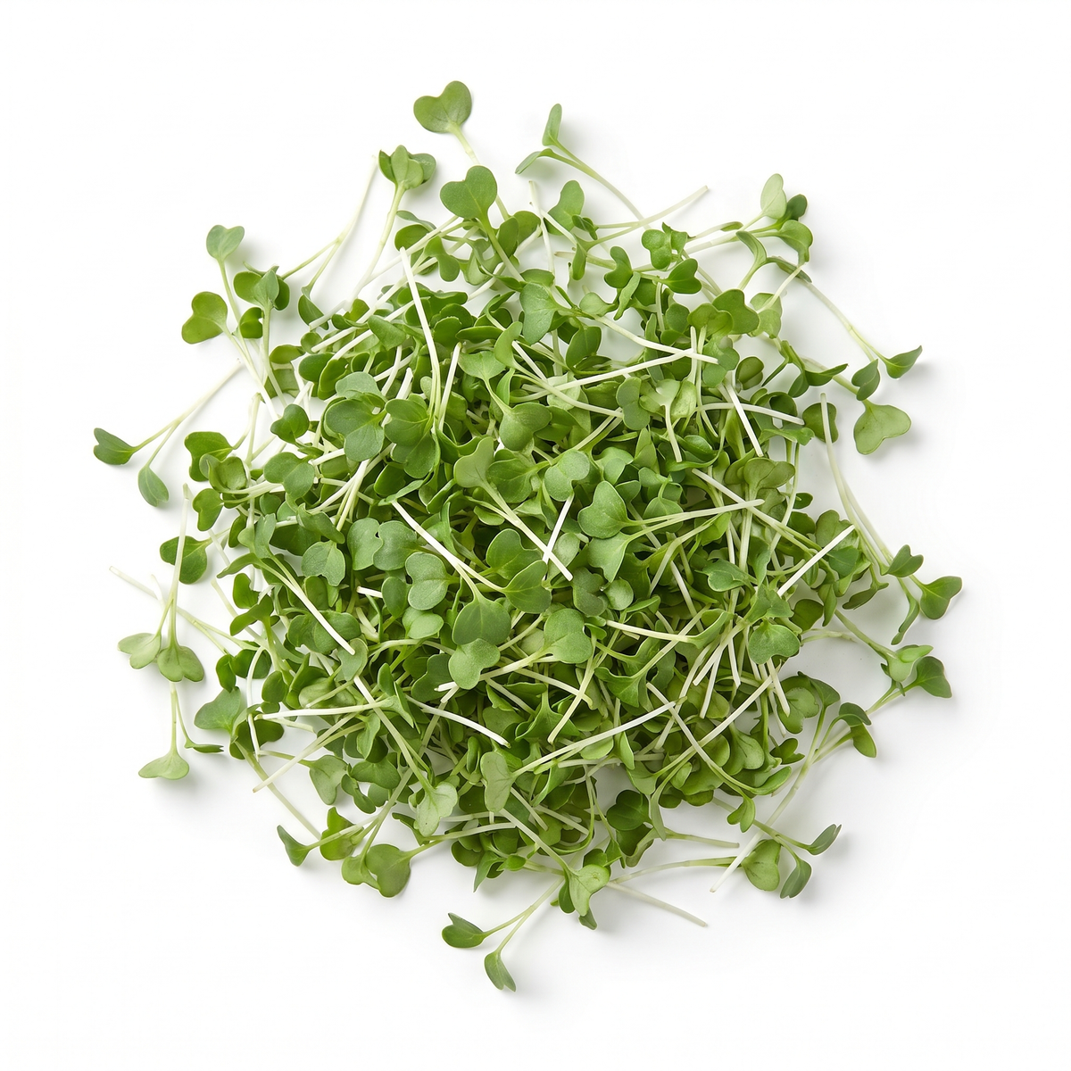 Cress Microgreens